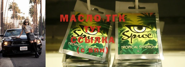 твердый Вяземский