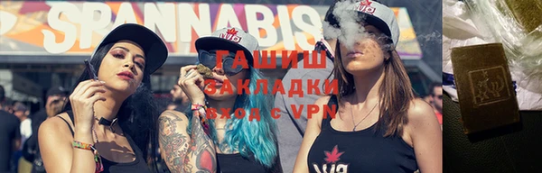 твердый Вяземский