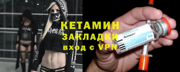 твердый Вяземский