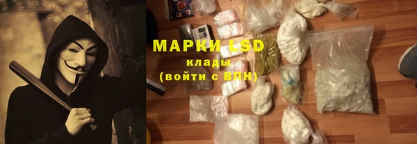 твердый Вяземский