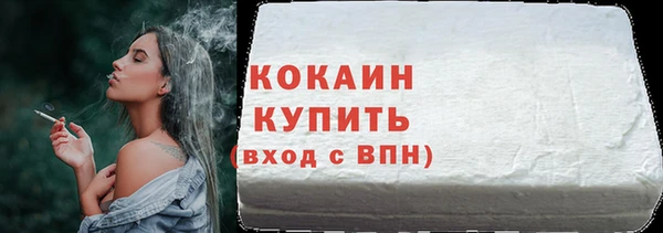 твердый Вяземский