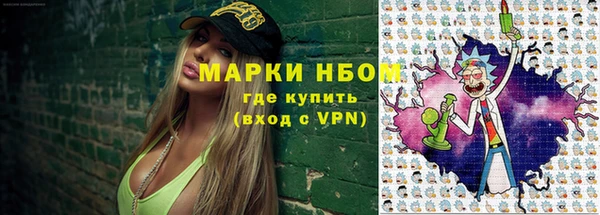 твердый Вяземский