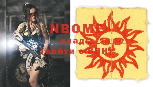 твердый Вяземский