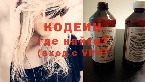 твердый Вяземский