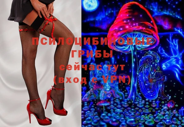 твердый Вяземский