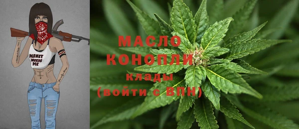 твердый Вяземский