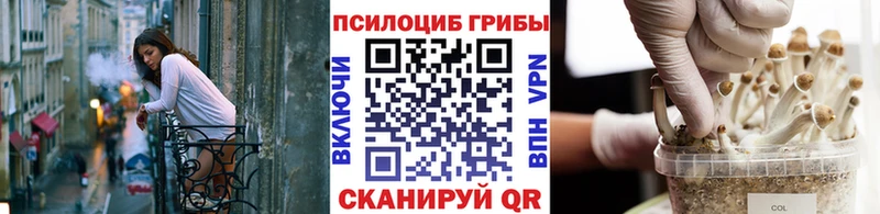 как найти закладки  Новороссийск  OMG зеркало  Псилоцибиновые грибы Magic Shrooms 