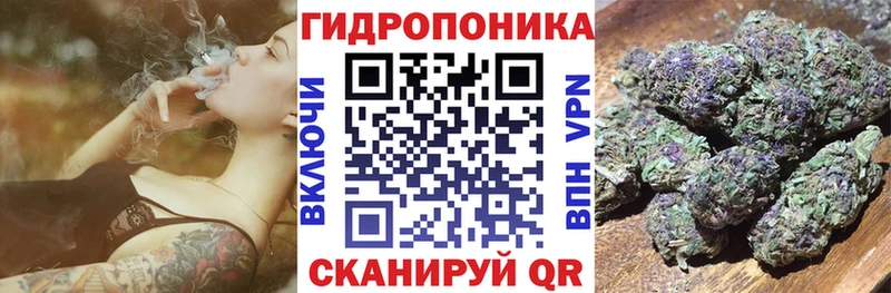 Бошки Шишки MAZAR  Новороссийск 